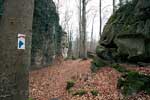 Wandelen door de mooie natuur bij Müllerthal in Luxemburg