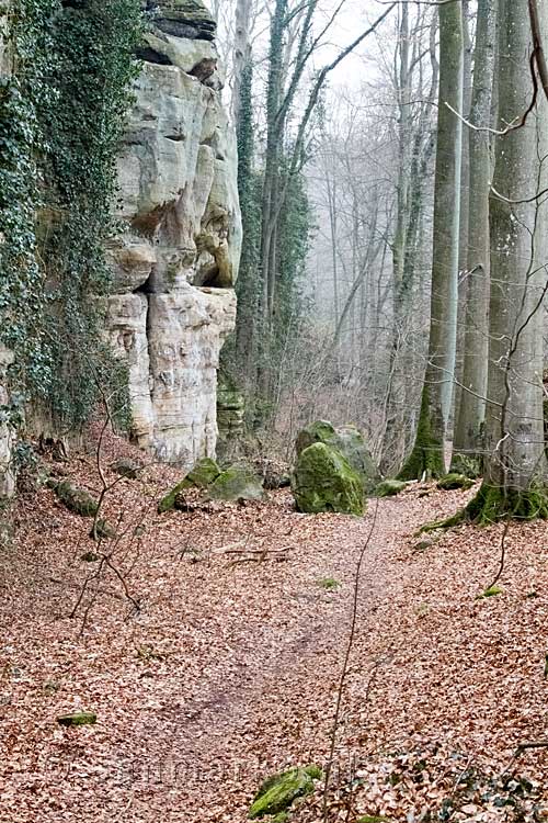 Het wandelpad langs de mooie rotsen bij Müllerthal in Luxemburg