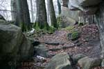 Nog een mooi uitzicht op het wandelpad in de bossen bij Müllerthal