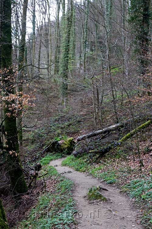 Het wandelpad van Müllerthal naar de Schiessentümpel