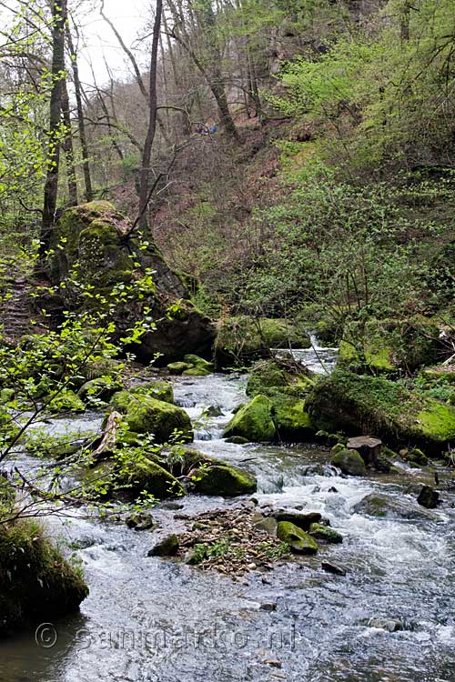 De Schwarze Emz vlakbij de Schiessentümpel in het Müllerthal in Luxemburg