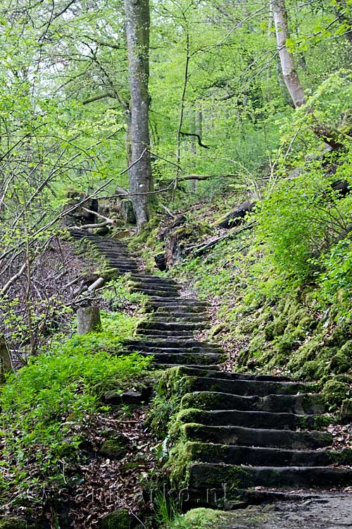 Een lange trap in het wandelpad naar de Wolfsschlucht bij Echternach in Luxemburg