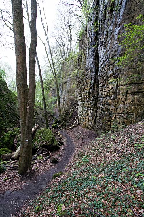 Hoge rotswanden langs het wandelpad naar de Wolfsschlucht bij Echternach