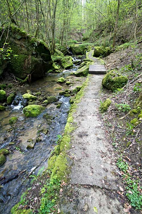 Het wandelpad door de bossen langs de Aeschbach in Luxemburg