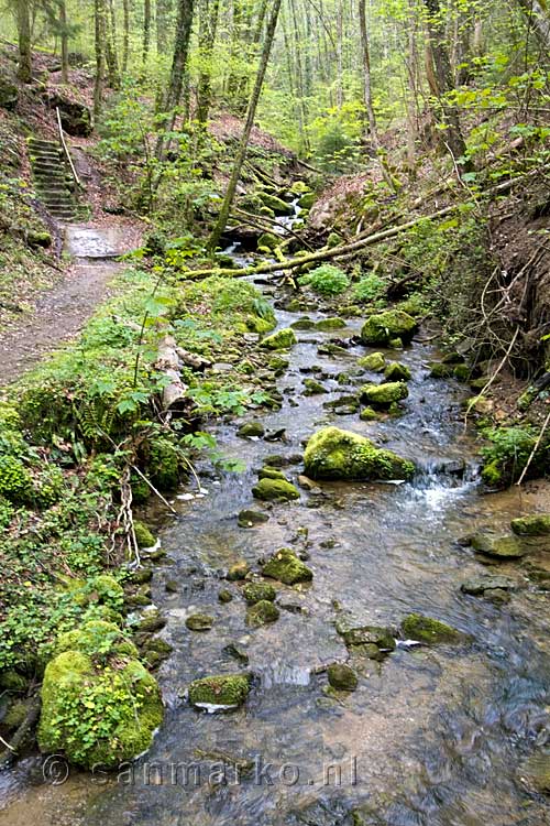 Met deze trap verlaten we de Aeschbach en is de wandeling door de Wolfsschlucht ten einde