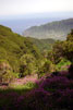 Het uitzicht vanaf de waterval bij Bica da Cana richting São Vicente op Madeira