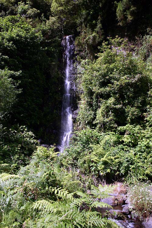 Een waterval langs het wandelpad bij Boaventura op Madeira