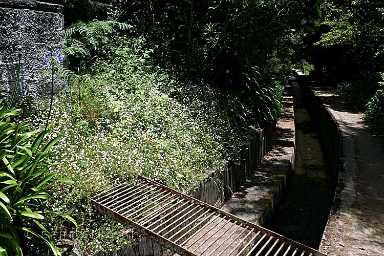 Aan het begin van de wandeling langs de Levada do Norte op Madeira