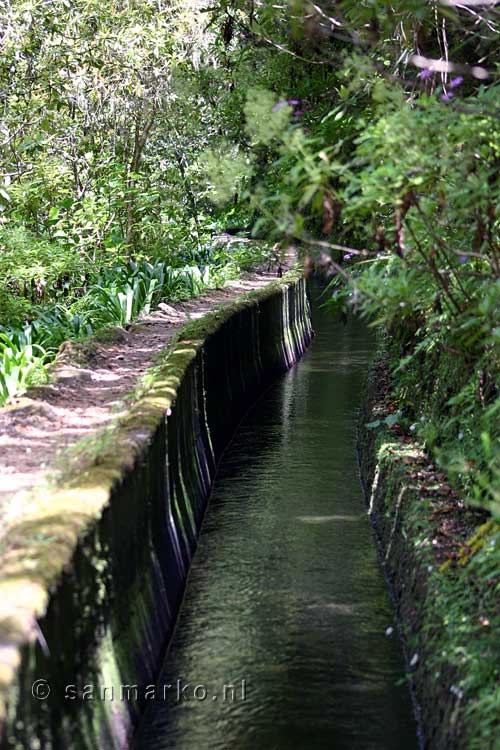 Wandelen langs de Levada do Norte in het Folhadal op Madeira