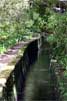 Wandelen langs de Levada do Norte in het Folhadal op Madeira