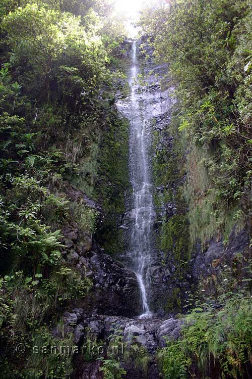 Een prachtige waterval tijdens de wandeling bij de Levada do Norte