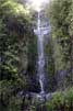 Een prachtige waterval tijdens de wandeling bij de Levada do Norte