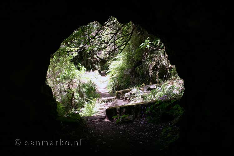 Wandelen door een tunnel van de Levada do Norte in het Folhadal op Madeira