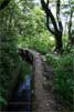 Wandelend langs de groene Levada do Norte in het Folhadal op Madeira