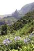 Uitzicht vanaf de Levada das Rabaças op de natuur van Madeira