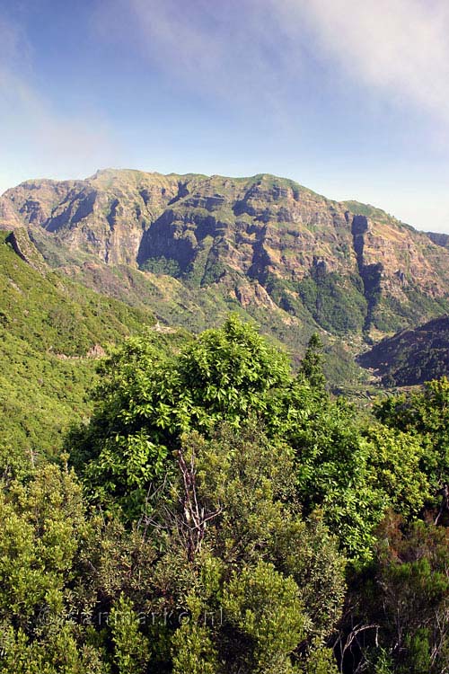 De bergen bij Boca da Encumeada pas tijdens een wandeling op Madeira
