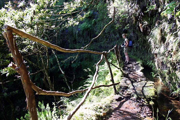 Leuke hekjes en een mooie levada bij Queimadas richting Caldeirão Verde