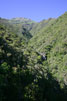 Uitzicht op de schitterende Caldeirão Verde bij Queimadas op Madeira