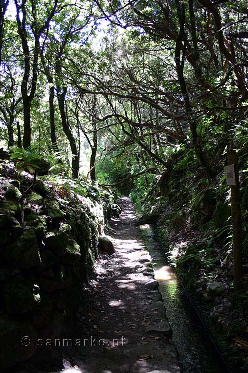 Wandelend richting de tunnel bij Queimadas naar de Caldeirão Verde op Madeira