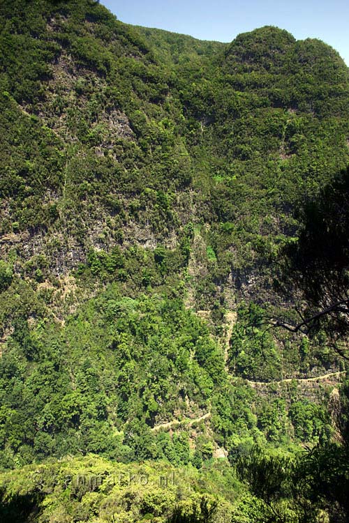 Het wandelpad aan de overkant van de Caldeirão Verde op Madeira