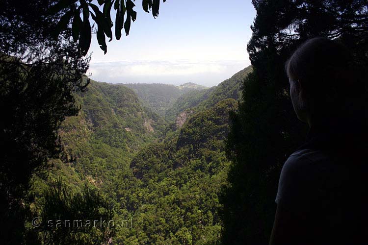 Doorkijkje vanaf het wandelpad bij Queimadas door de begroeiing van Madeira