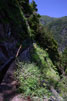 Uitzicht op de steile afgronden naast de levada op Madeira