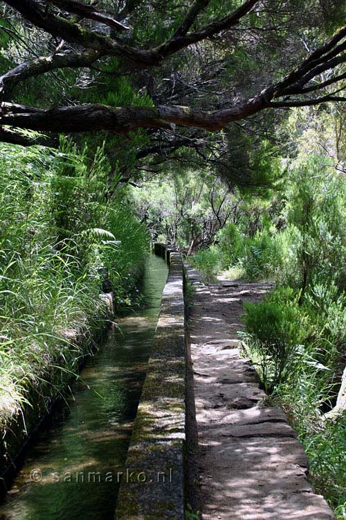 Heide groeit over de Levada das 25 fontes van Rabaçal op Madeira