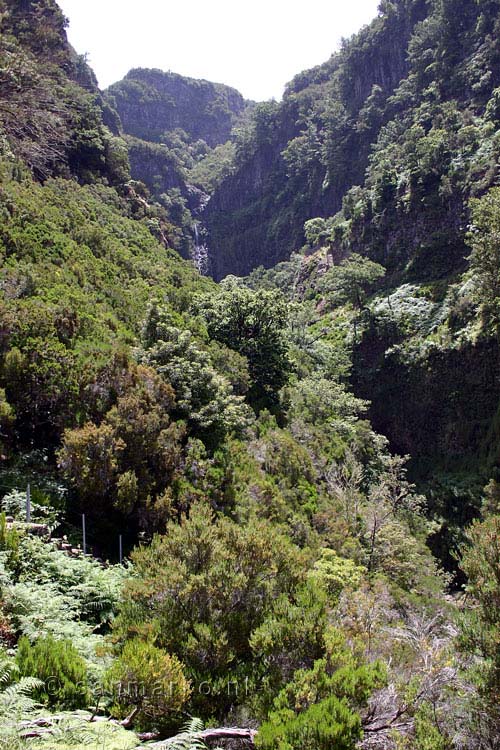 Uitzicht over een zijdal tijdens de wandeling bij Rabaçal en de Levada das 25 fontes