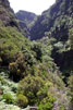 Uitzicht over een zijdal tijdens de wandeling bij Rabaçal en de Levada das 25 fontes