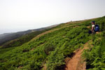 Uitzicht over de zuidkant van Madeira vanaf Rabaçal na de wandeling