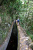 Het wandelpad langs de levada bij Ribeira da Janela op Madeira