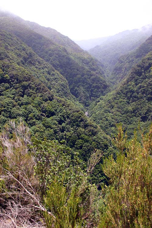 Een uitzicht vanaf het wandelpad over Ribeira da Janela op Madeira