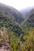 Een uitzicht vanaf het wandelpad over Ribeira da Janela op Madeira