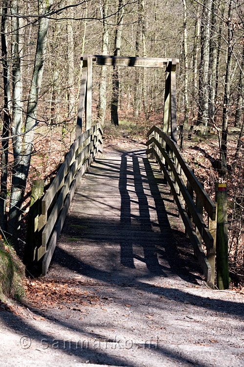 Brug over de Holle Weg in het bos in de Veluwezoom