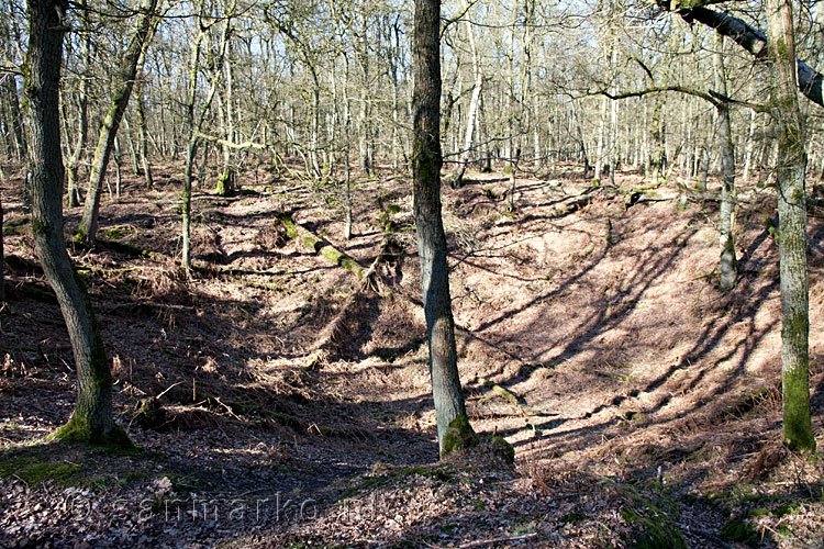 Een diepe krater in de Onzalige Bossen bij de Posbank