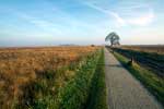 Het uitzicht over het Dwingelderveld bij Dwingeloo