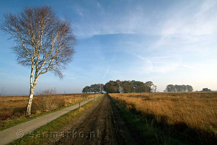 Het wandelpad door het Dwingelderveld tussen Dwingeloo en Ruinen in Drenthe