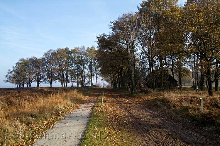 Een boerderij midden op het Nationale Park Dwingelderveld