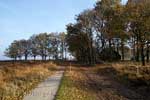 Een boerderij midden op het Nationale Park Dwingelderveld