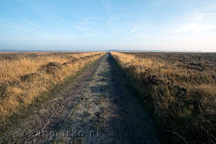 Het uitzicht tijdens de wandeling midden over het nationale park Dwingelderveld