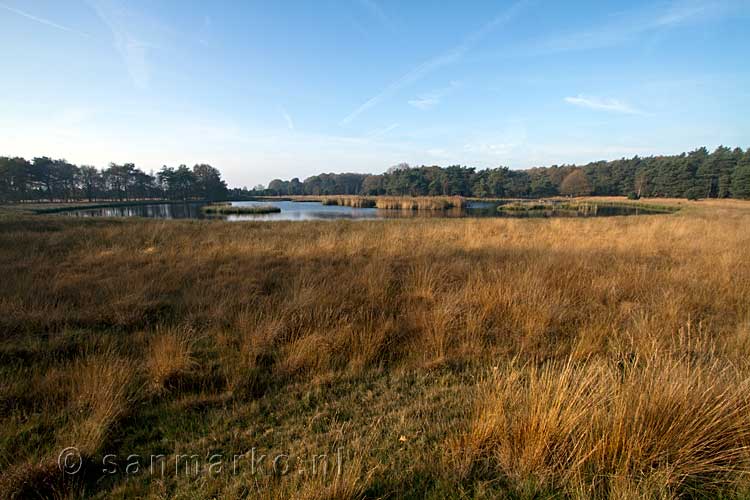 Een mooi uitzicht over een van de vennen van het Dwingelderveld