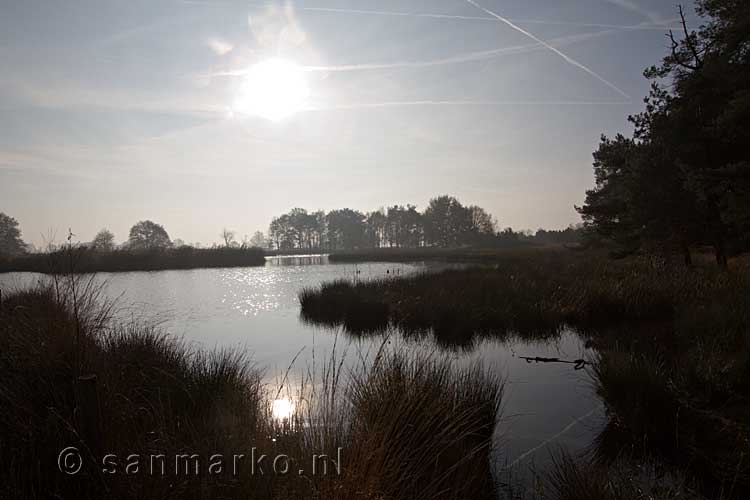 De zon weerkaatst in het ven in het Nationale Park Dwingelderveld