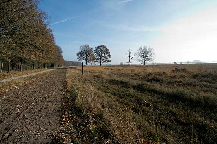 Het uitzicht tijdens de wandeling door het Nationale Park Dwingelderveld