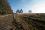 Het uitzicht tijdens de wandeling door het Nationale Park Dwingelderveld