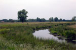 De kleine Aa in Kampina vlakbij Boxtel