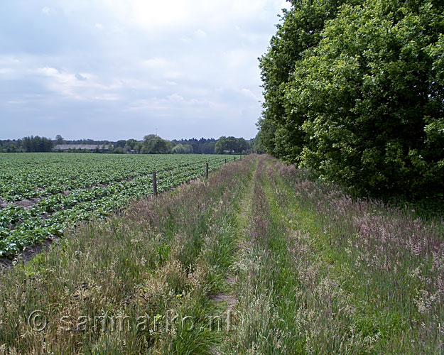 Wandelen langs de akkers bij Kampina vlakbij Boxtel