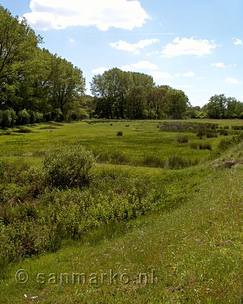 Uitkijkend over de velden van Kampina