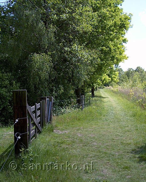 Een hek aan de bosrand van Kampina