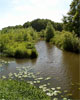 De Beerze in Kampina in Noord-Brabant