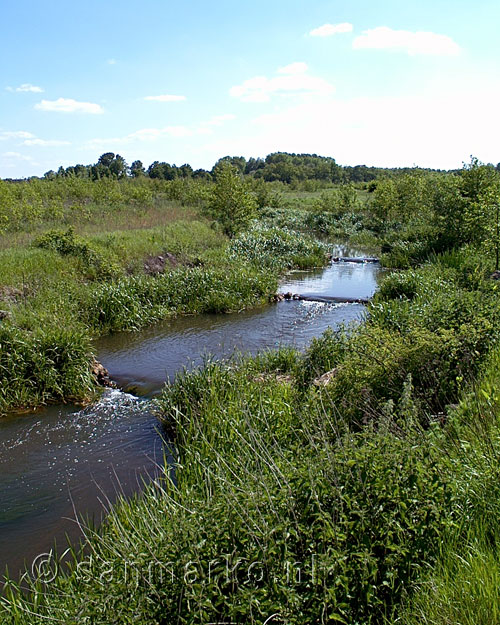 Een vistrap in de Beerze in Kampina